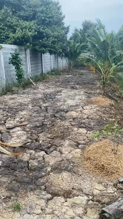 Đất vườn và đất lúa phường Thanh Đức 35.000m² giá 5.005 tỷ - Tiềm năng kinh doanh lớn!