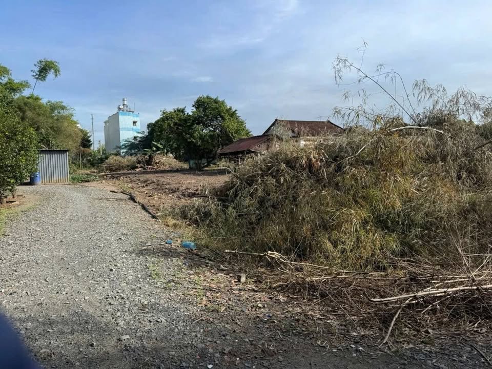 Đất vườn 900m² tại Mỹ Hạnh Nam, giá 3.2 tỷ - Cơ hội đầu tư tuyệt vời!