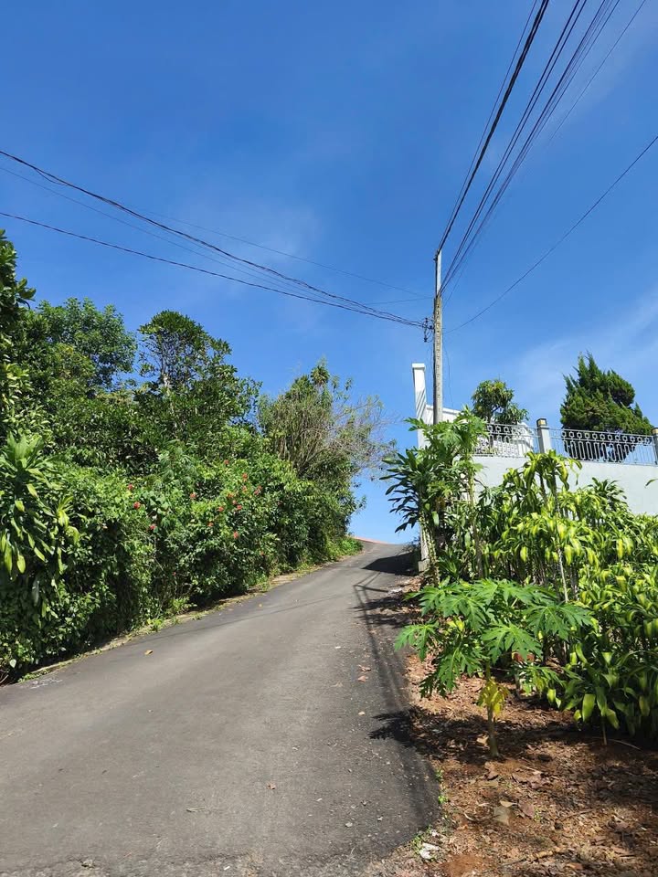 Đất mặt tiền Phạm Phú Thứ, B'Lao 95m² giá 1.2 tỷ - Đầu tư sinh lời!