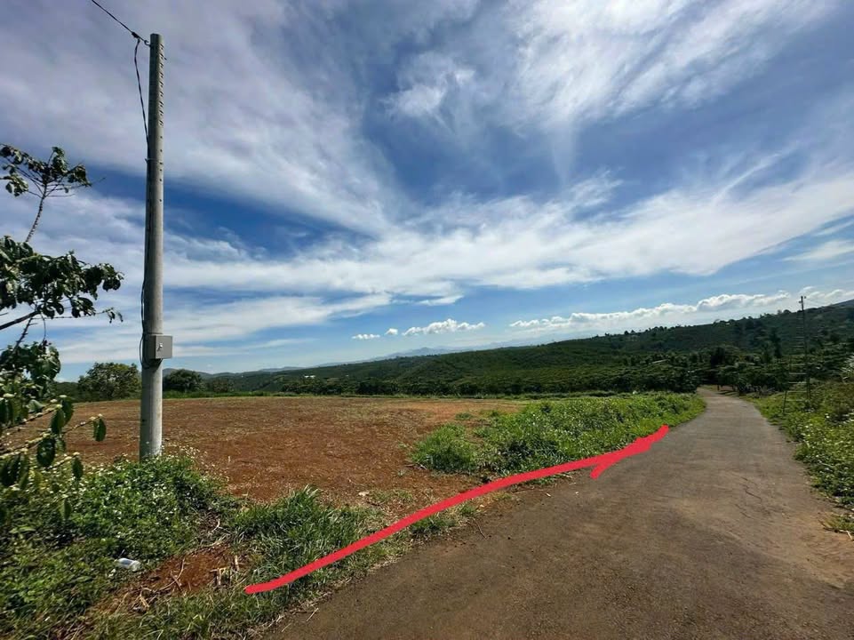 Đất thổ cư Lộc Ngãi 444m² giá 999 triệu - Cơ hội vàng đầu tư!