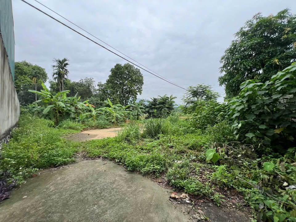 Đất Bến Cuối Liên Sơn 977,5m² - Đường vào rộng, phù hợp xây dựng nghỉ dưỡng!