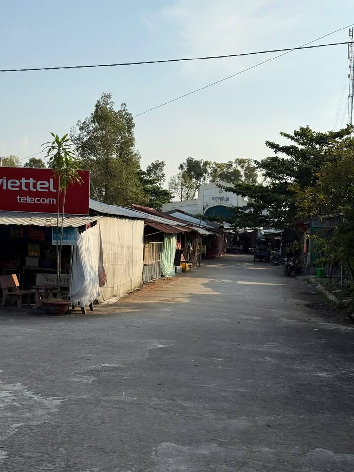 Đất nền Tân Thạnh, Thanh Bình, Đồng Tháp 64m² giá 290 triệu - Đầu tư sinh lời tốt!