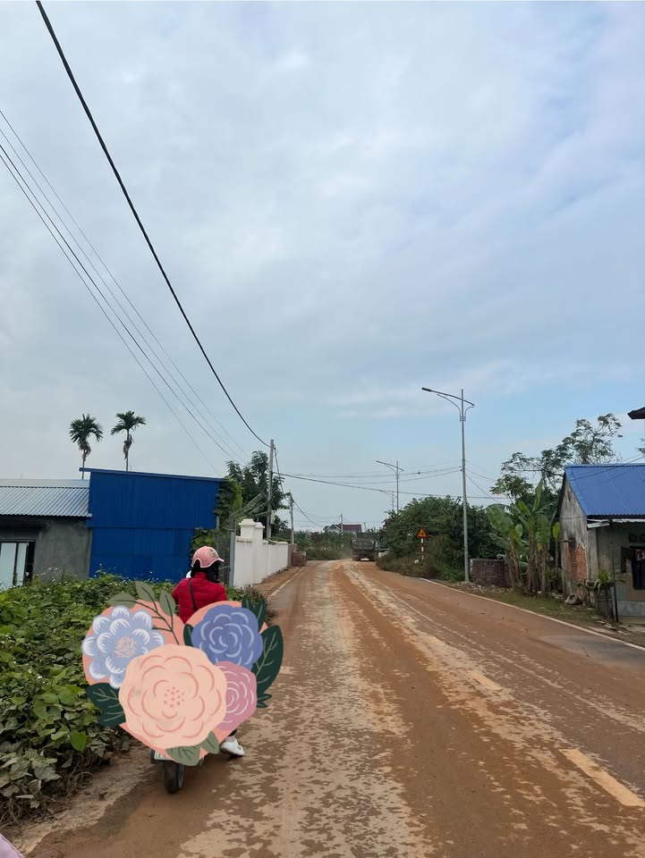 Đất nền Lâm Động 60m² giá 1.4 tỷ - Tiềm năng tăng giá cao!