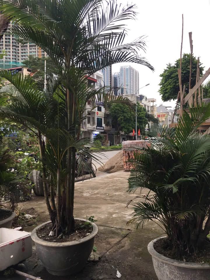 Đất biệt thự Hạ Đoạn 1, Đông Hải 200m² - Khu dân cư văn minh, giá thỏa thuận!