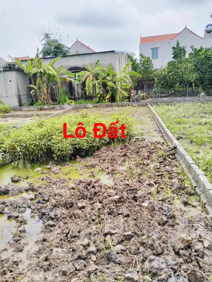 Đất thổ cư Trường Thi Nam Định 105m² giá 820 triệu - Sổ hồng chính chủ, ô tô vào tận nơi!