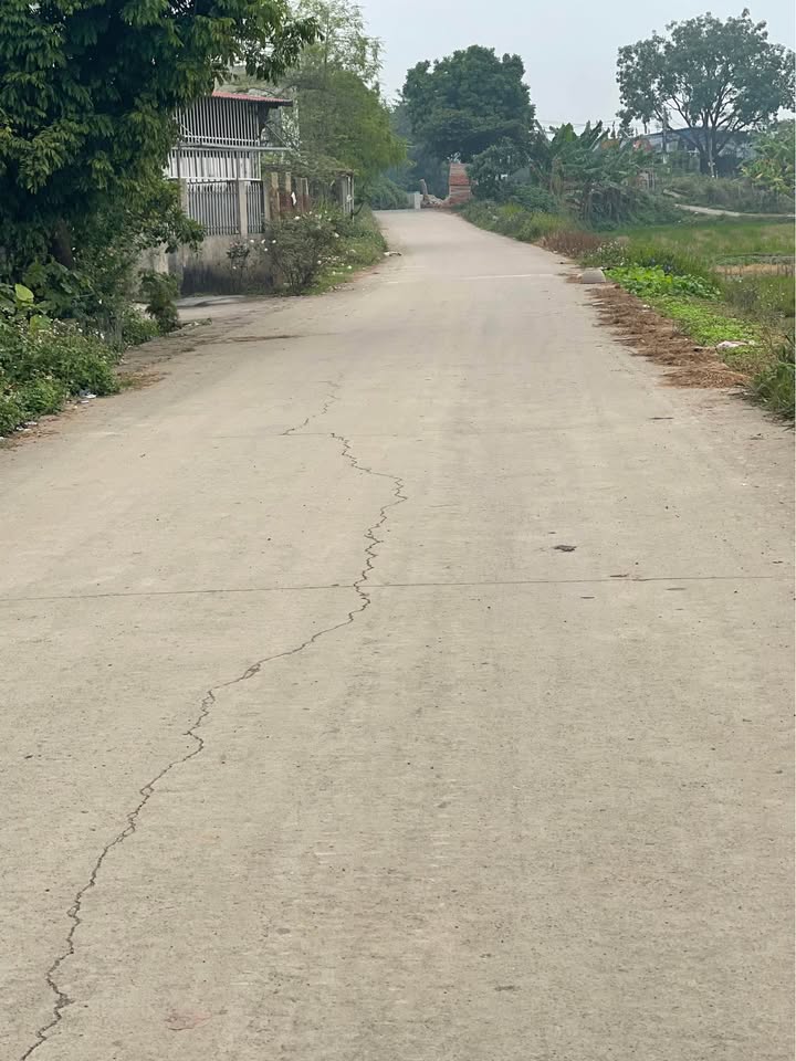 Đất lô góc 54m² phố Phụng Châu, Chương Mỹ chỉ 3 tỷ - Sổ đỏ chính chủ!