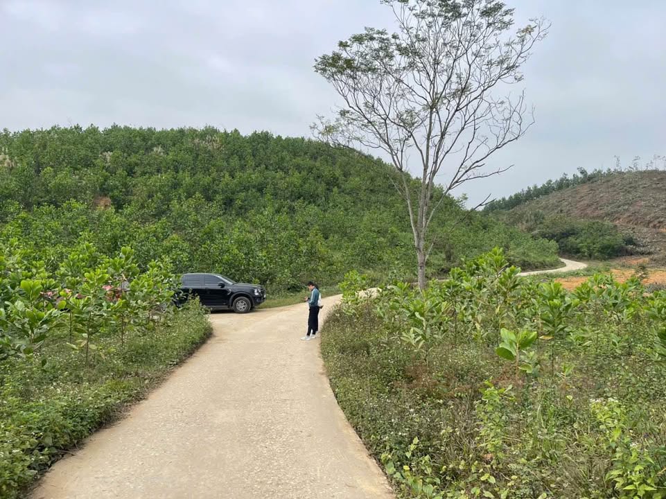 Đất đồi Khe Mo Đồng Hỷ 19490m² giá 3 tỷ - Cơ hội đầu tư hấp dẫn!