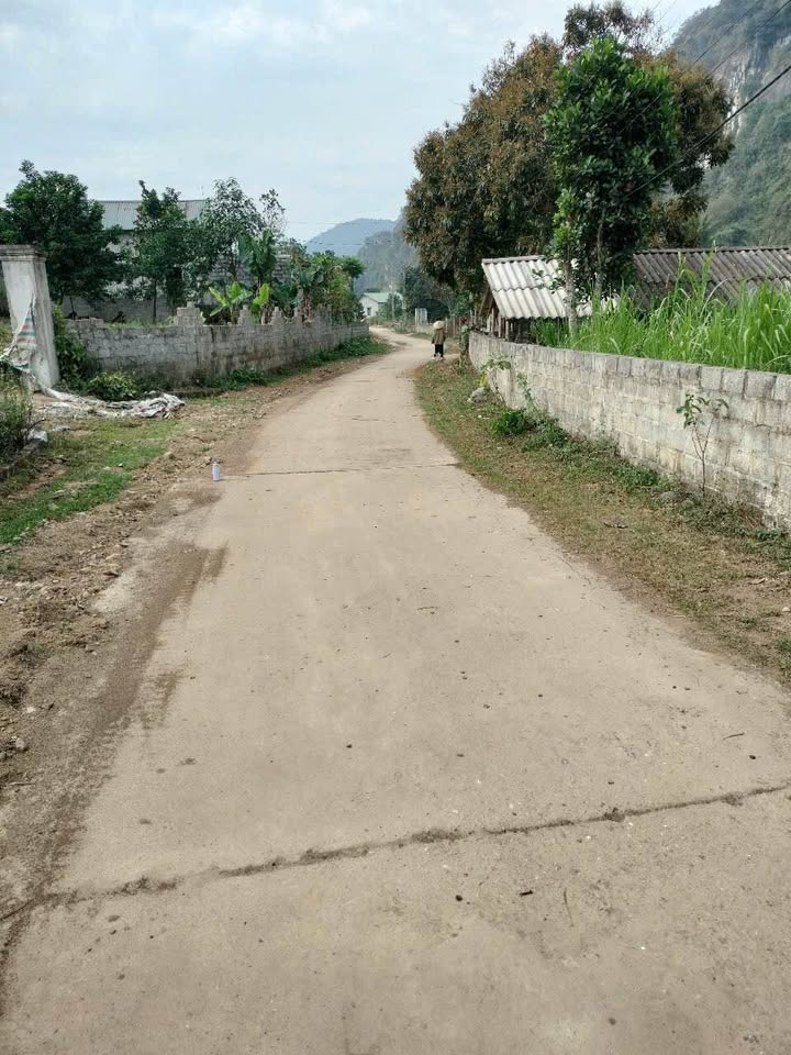 Đất thổ cư 150m² tại Phú Thành, Lạc Thủy - Chỉ vài trăm triệu, đầu tư sinh lời!