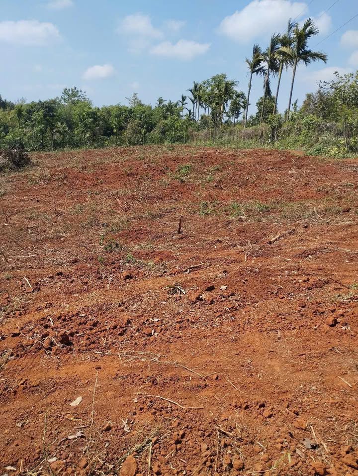 Đất nền Ea Ktur Cư Kuin 10.800m² giá 750 triệu - Cơ hội đầu tư tuyệt vời!