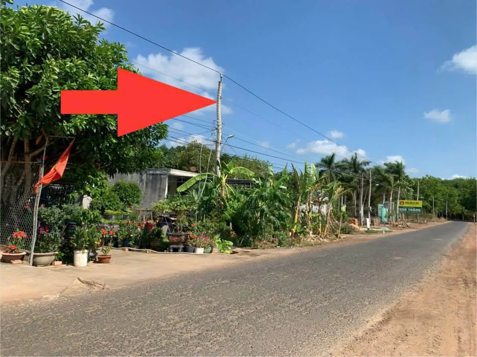 Đất nền Lộc An Bảo Lâm 112.5m² giá chỉ 800 triệu - Cắt lỗ gấp!