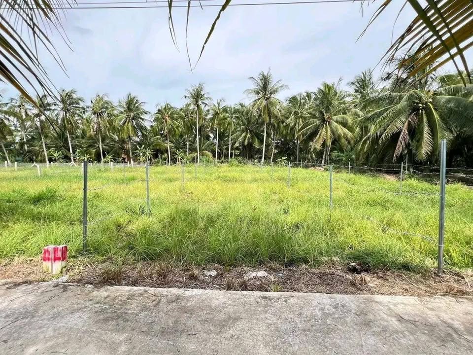 Đất nền Vĩnh Hựu Gò Công Tây 192m² giá 260 triệu - Sổ đỏ chính chủ, giao ngay!