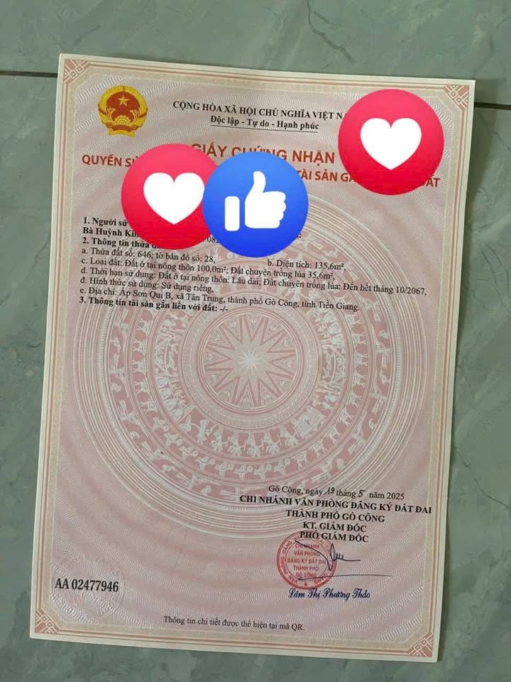 Đất nền Tân Trung, Gò Công 135m² giá 440 triệu - Bán gấp, thương lượng!