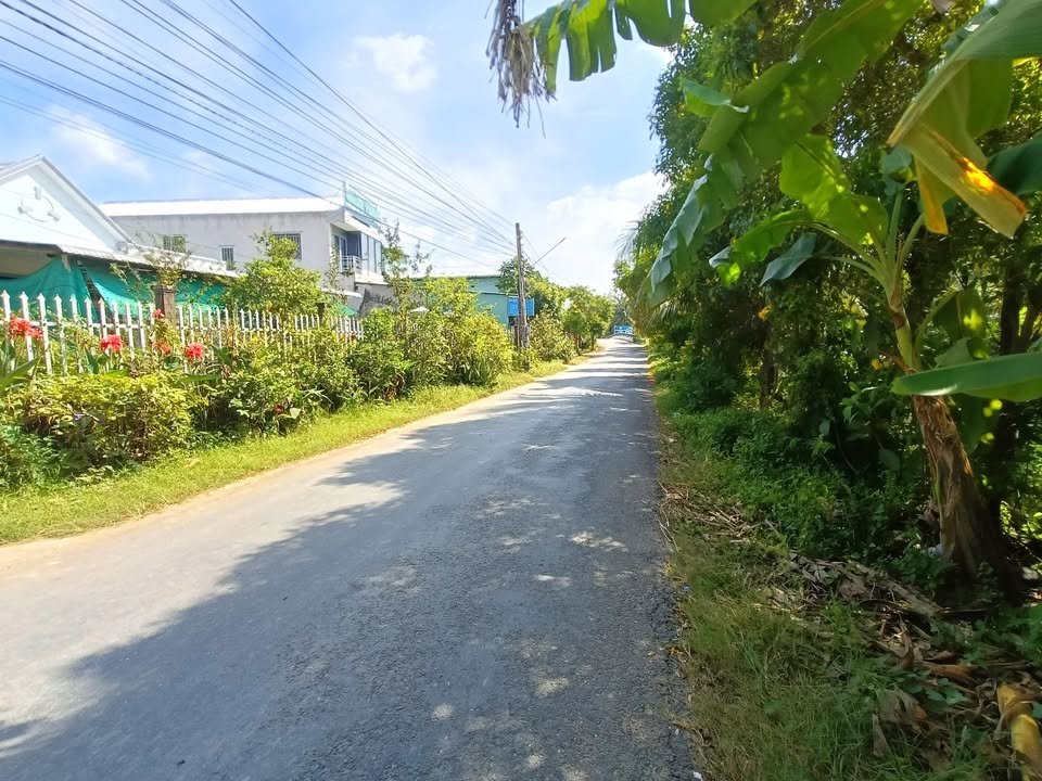 Nhà vườn xã Song Bình, huyện Chợ Gạo 344m² giá 1.27 tỷ - Đầu tư sinh lời