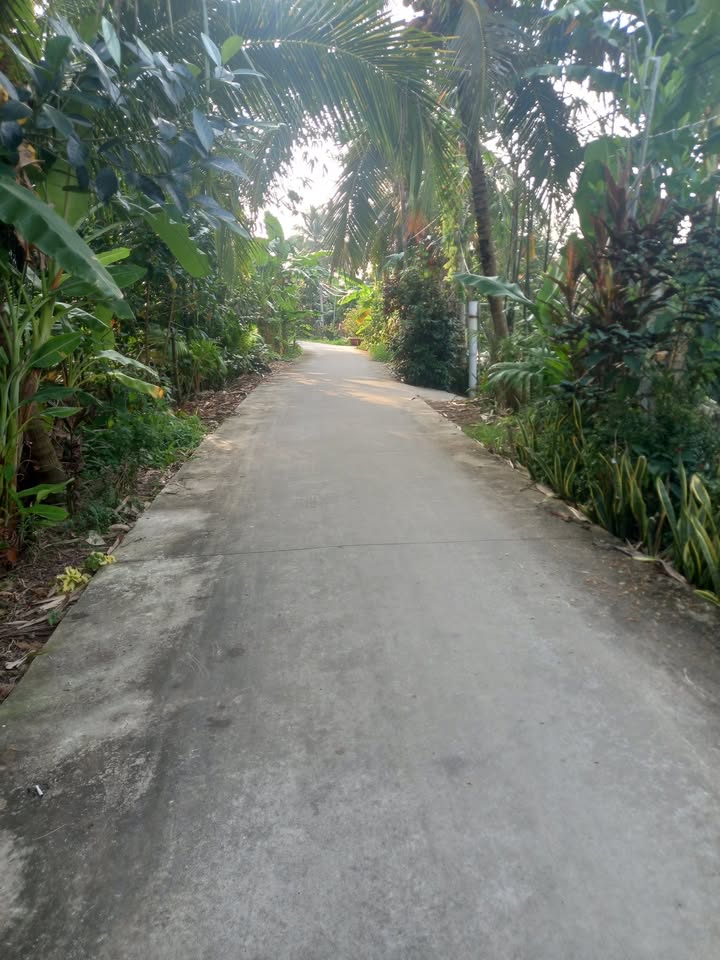 Đất thổ cư 200m² phường Nhị Quý, Tiền Giang chỉ 700 triệu - Sổ hồng chính chủ!