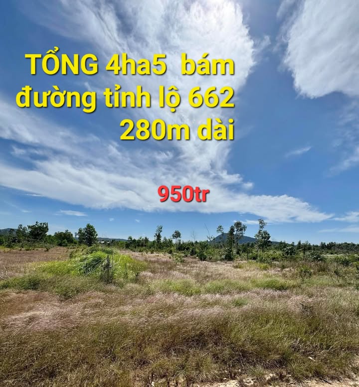 Đất nền Chư Sê Gia Lai 4,5ha chỉ 950 triệu - Đường tỉnh lộ 662 rộng rãi!
