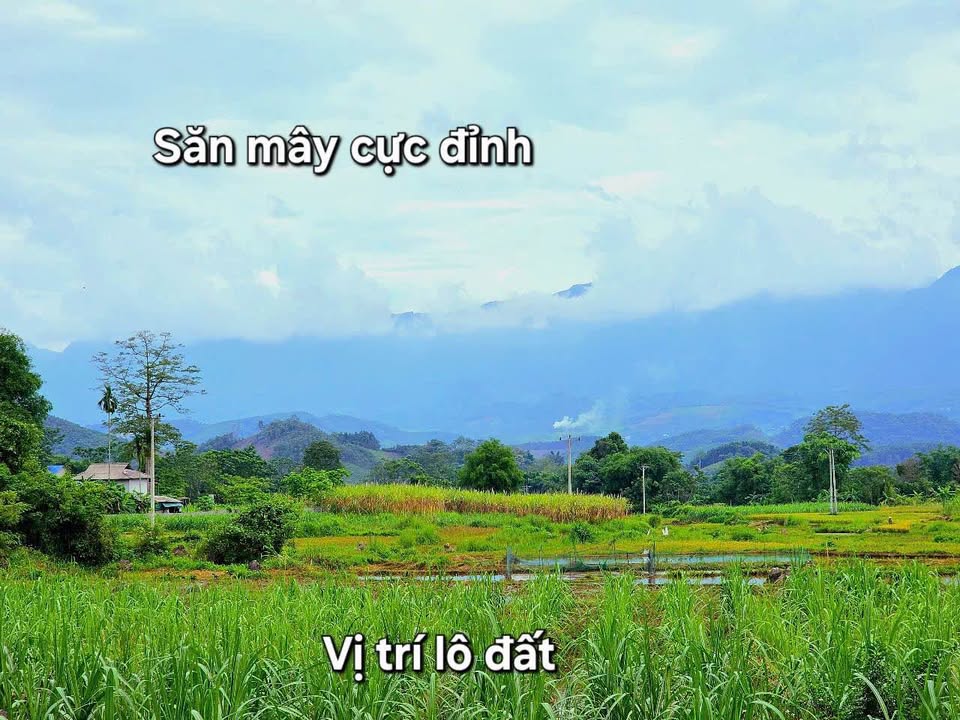 Đất nền Phú Vinh Tân Lạc 179m² chỉ 200 triệu - View núi non tuyệt đẹp!