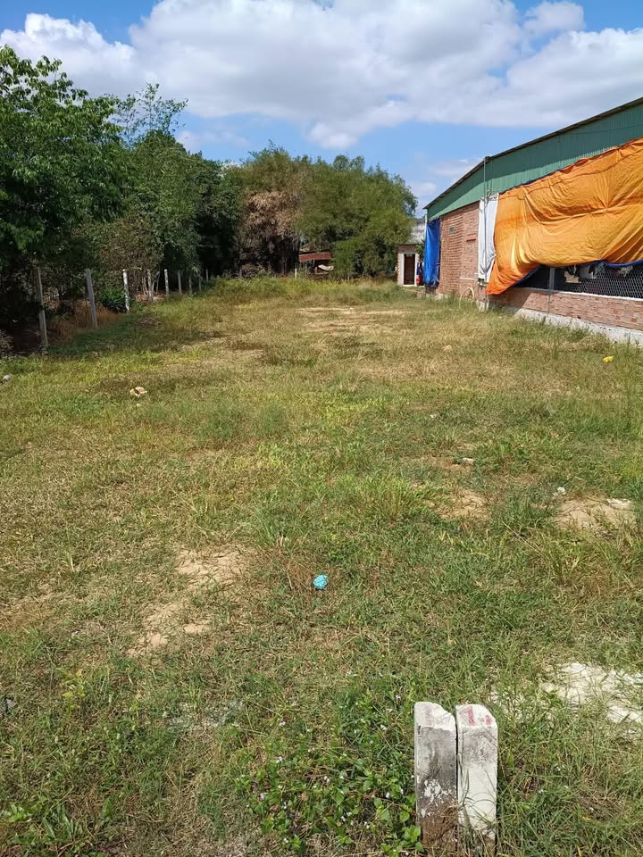 Đất nền Hảo Đước Tây Ninh 235m² giá 250 triệu - Đầu tư sinh lời ngay!