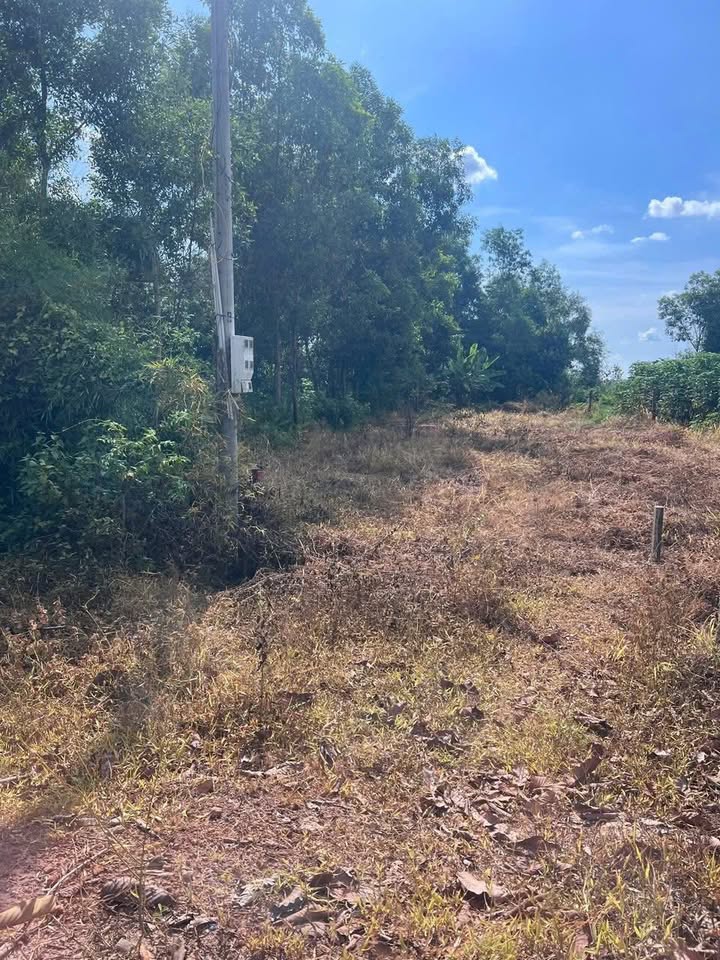 Đất thổ cư mặt tiền đường nhựa xã Hảo Đước 190m² giá 1.52 tỷ - Cơ hội đầu tư tuyệt vời!