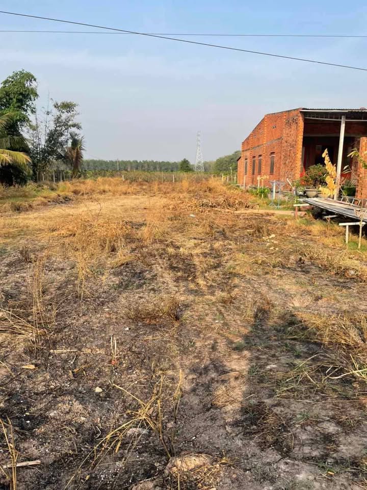 Đất nền Tân Phong, Tân Biên 1173m² giá 2.3 tỷ - Bán gấp, bớt lộc!