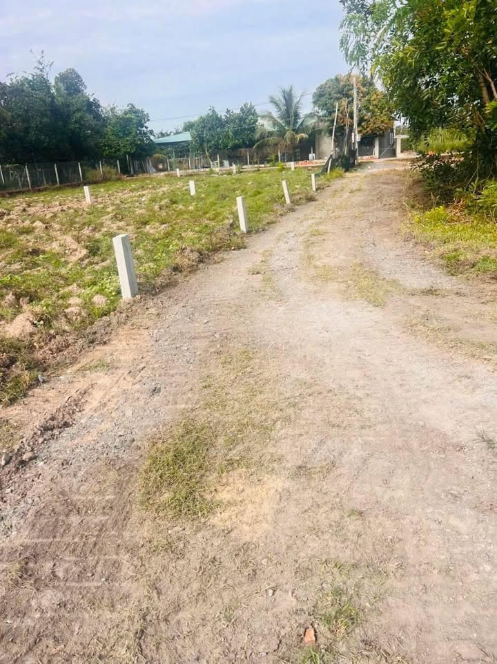 Đất thổ cư Châu Thành, Tây Ninh 100m² giá 270 triệu - Mặt tiền đường thông thoáng!