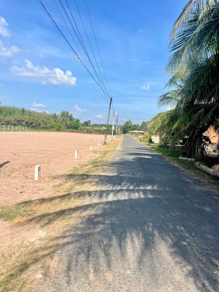 Đất mặt tiền nhựa 160m² tại Trí Bình, Châu Thành - Giá 300 triệu, cơ hội hiếm có!