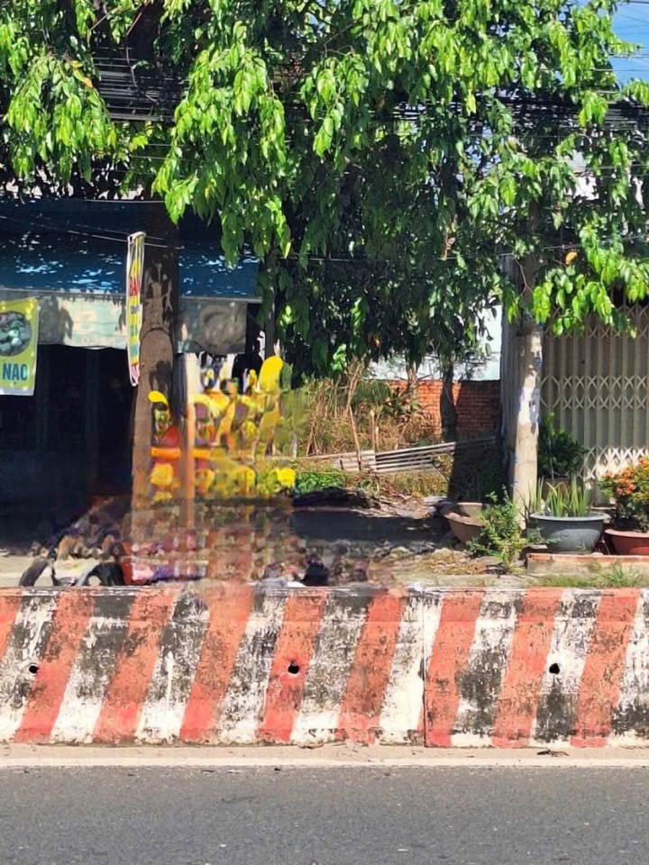 Đất mặt tiền đường 781, phường Ninh Thạnh, Tây Ninh 120m² - Giá chỉ 1.295 tỷ, cơ hội đầu tư tuyệt vời!