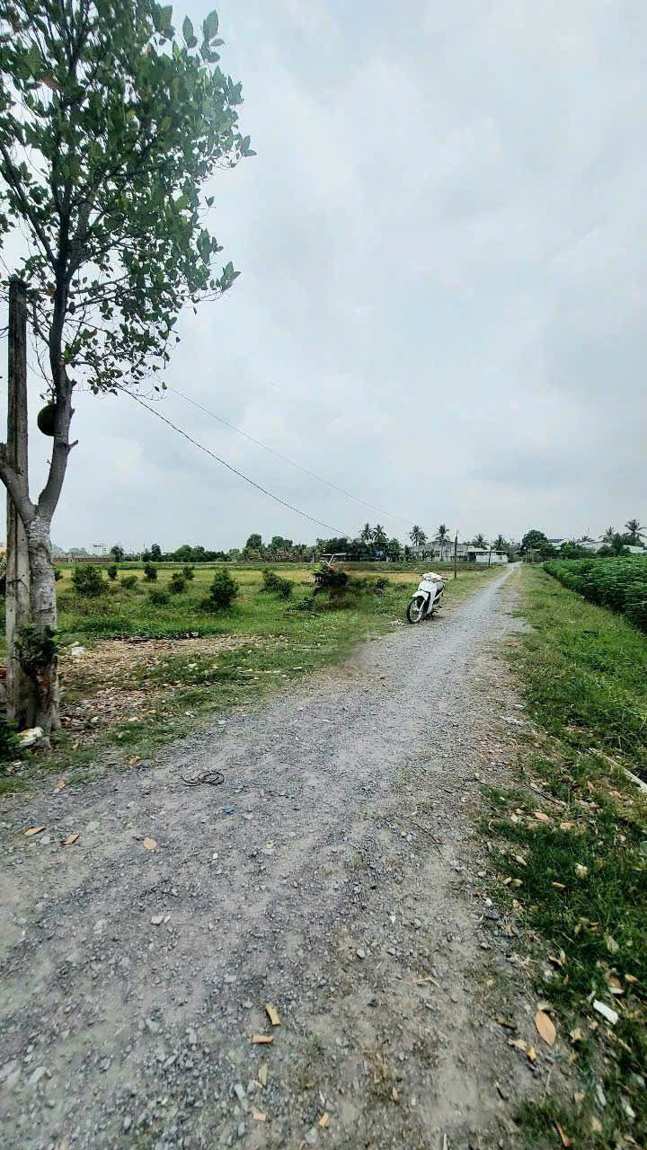 Đất nền Bàu Năng, Dương Minh Châu 840m² giá 840 triệu - Đất hướng Đông, đầu tư lý tưởng!