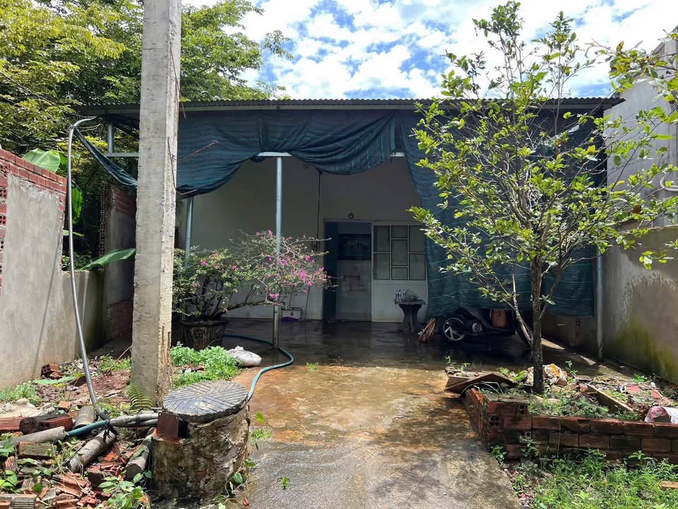 Nhà bán tại ấp 8 Sông Trầu, 120m² giá 650 triệu - Đầu tư sinh lời ngay!
