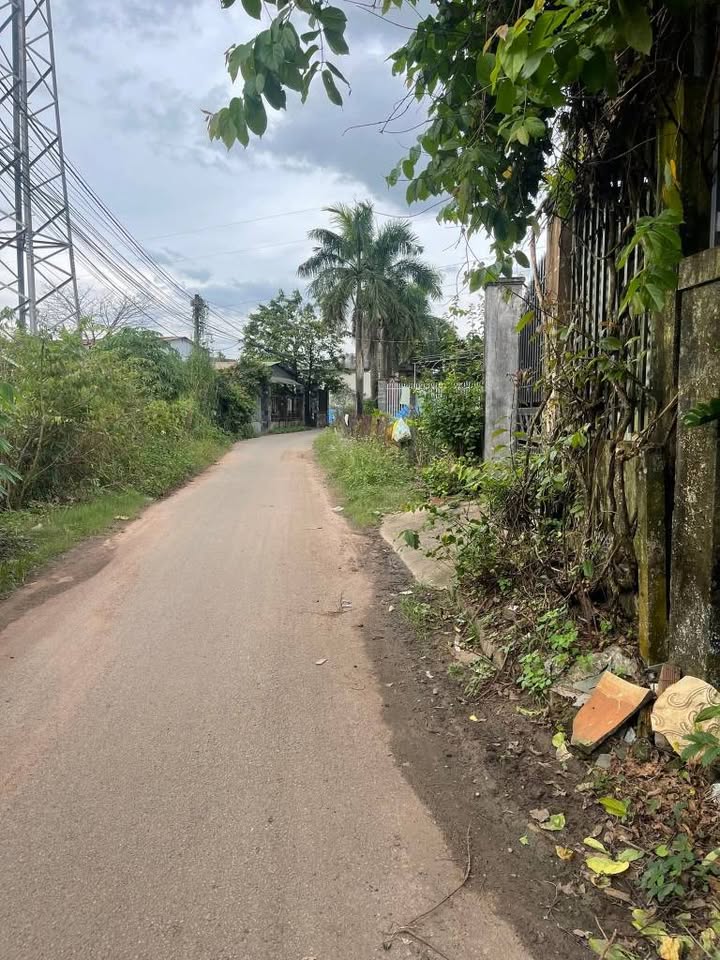 Đất thổ cư 1200m² Trảng Bom, Đồng Nai - Cơ hội đầu tư sinh lời!