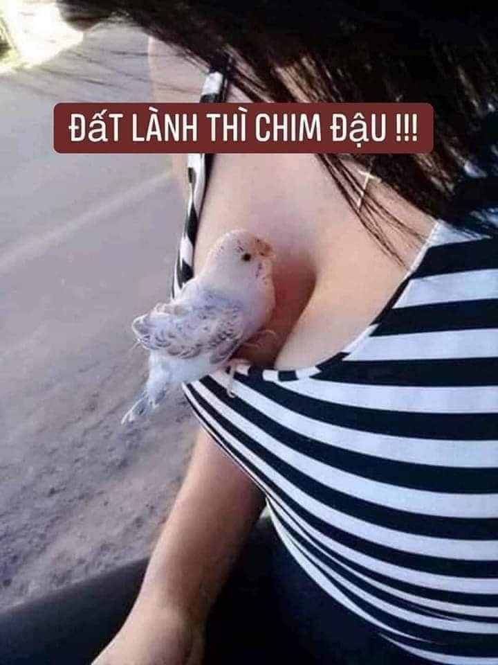 Đất mặt tiền Tỉnh Lộ 1 Buôn Đôn 15m² giá 380 triệu - Cơ hội đầu tư sinh lời!