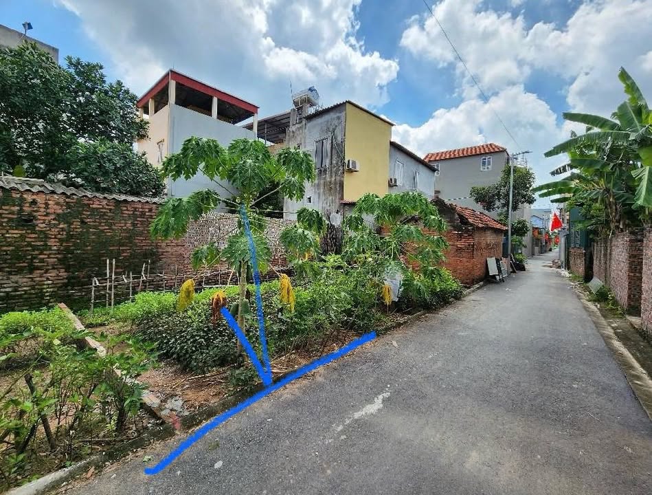 Đất nền Dương Quang, Gia Lâm 43m² giá 3 tỷ - Ô tô vào tận nơi!