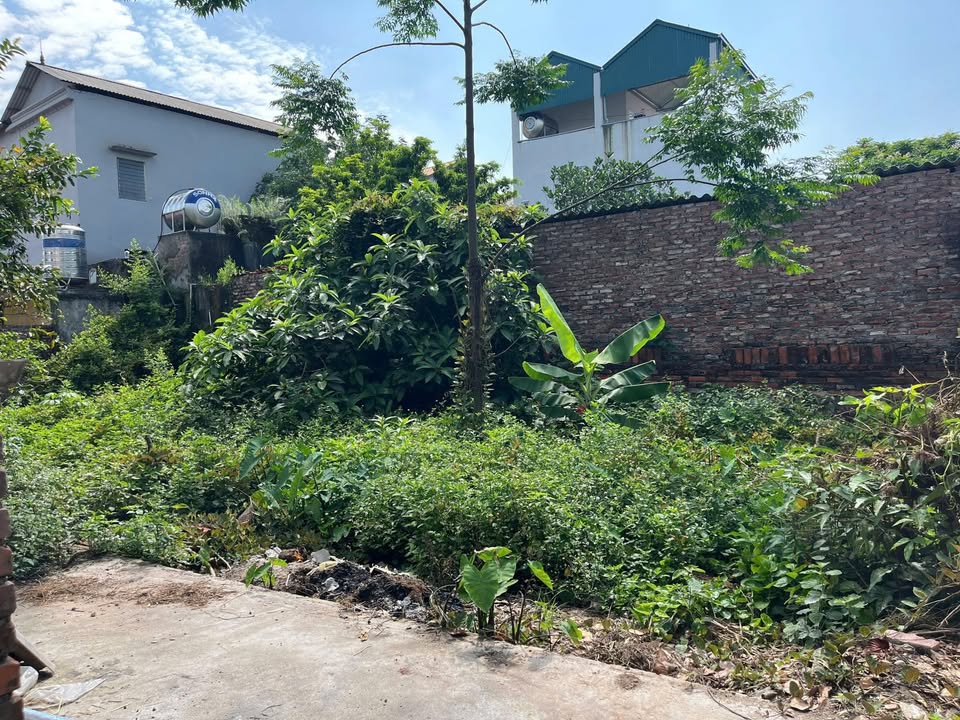 Đất Kim Sơn, Gia Lâm 45,5m² giá 2,3 tỷ - Cơ hội đầu tư tuyệt vời!