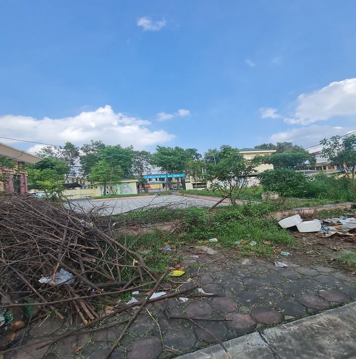 Đất góc siêu hiếm Trâu Quỳ, Gia Lâm 60m² giá chỉ 7 tỷ - Đầu tư sinh lời ngay!