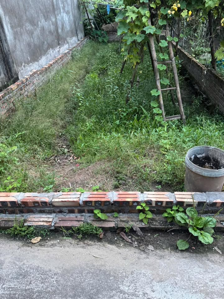 Đất nền Thạch Bàn Long Biên 50m² giá thỏa thuận - Đầu tư sinh lời hiệu quả!