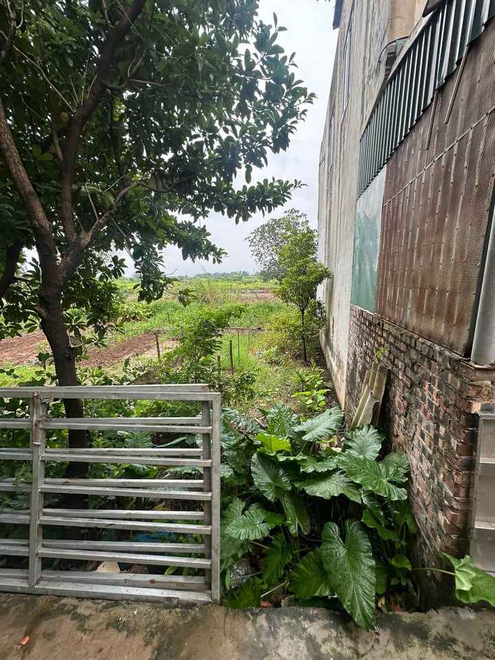 Đất Trâu Quỳ Gia Lâm 38,6m² giá chỉ 3 tỷ - Cơ hội hiếm có cho nhà đầu tư!