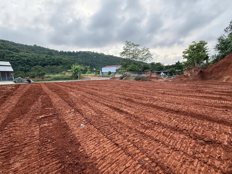 Đất nền Bản Cầm, Bảo Thắng - 1000m² giá 699 triệu - Đầu tư sinh lời cao!