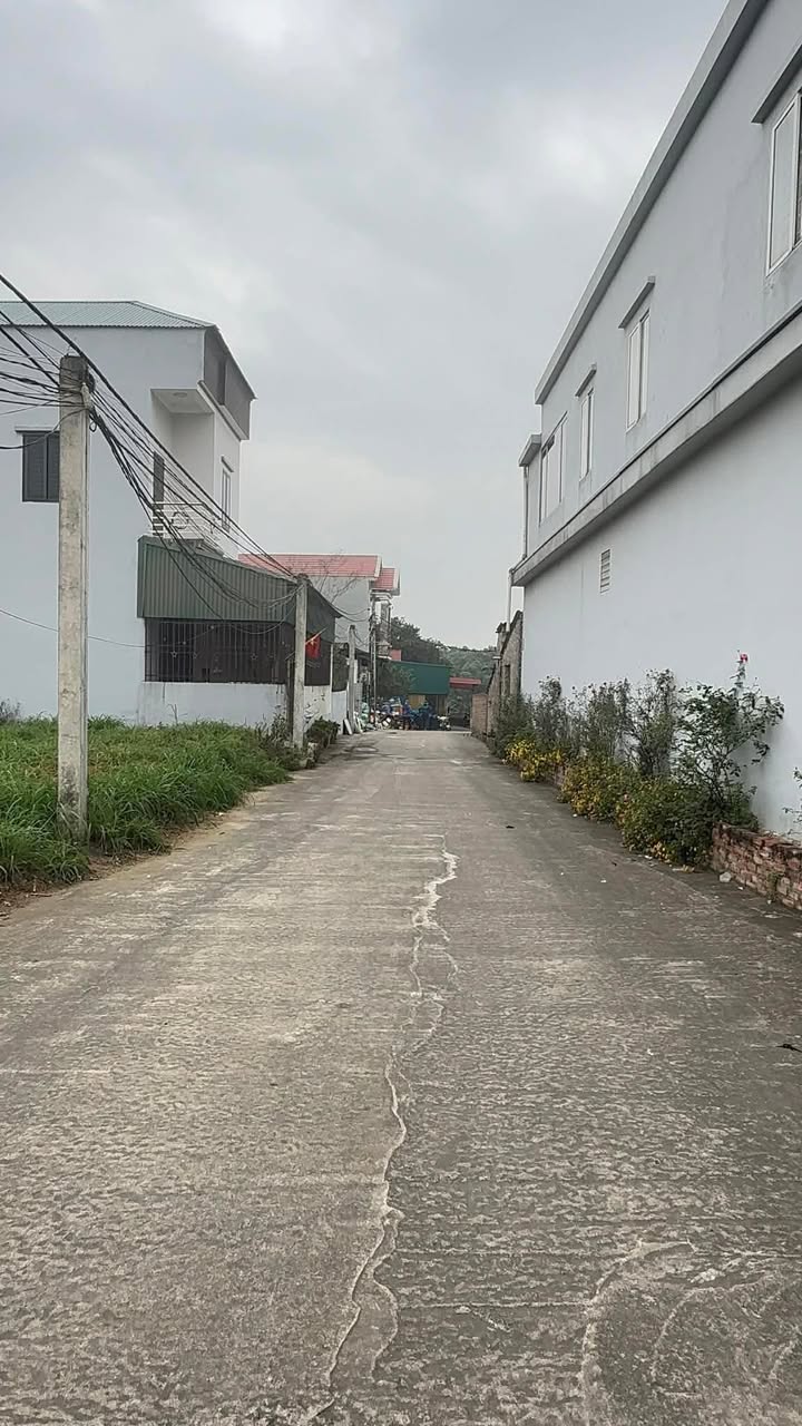 Đất nền Thanh Hà, Phú Thọ 149m² giá chỉ 100 triệu - Cơ hội đầu tư hấp dẫn!