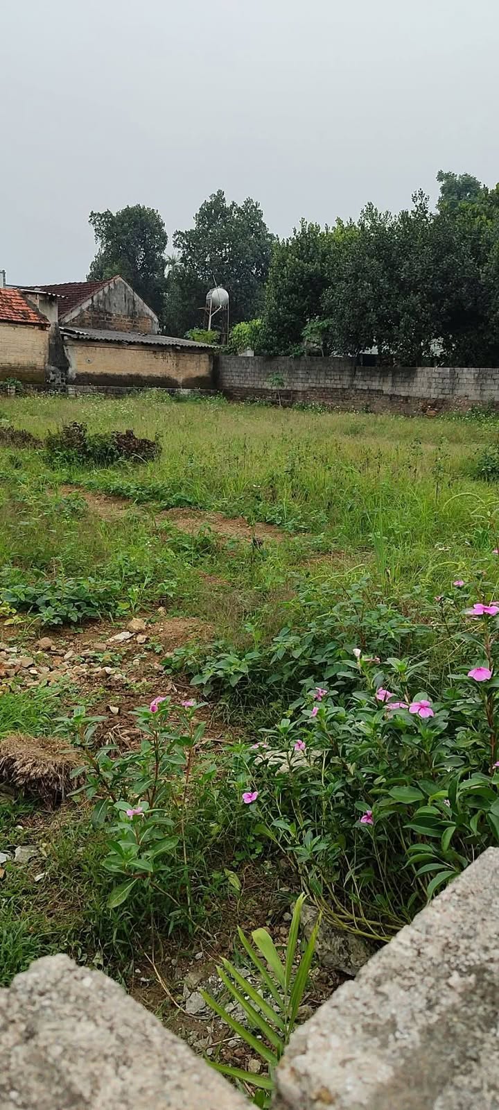 Đất nền Tùng Thiện, Sơn Tây 120m² giá 1.2 tỷ - Đầu tư sinh lời ngay!