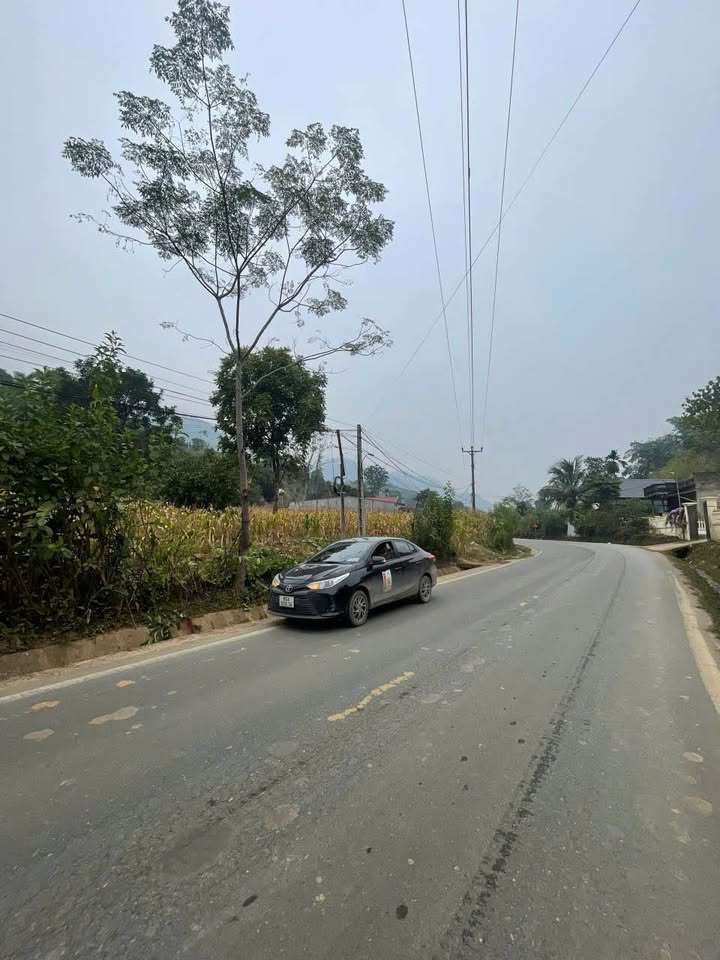 Đất nền Trúc Lâu, Lục Yên 180m² giá 430 triệu - Đầu tư sinh lời hấp dẫn!