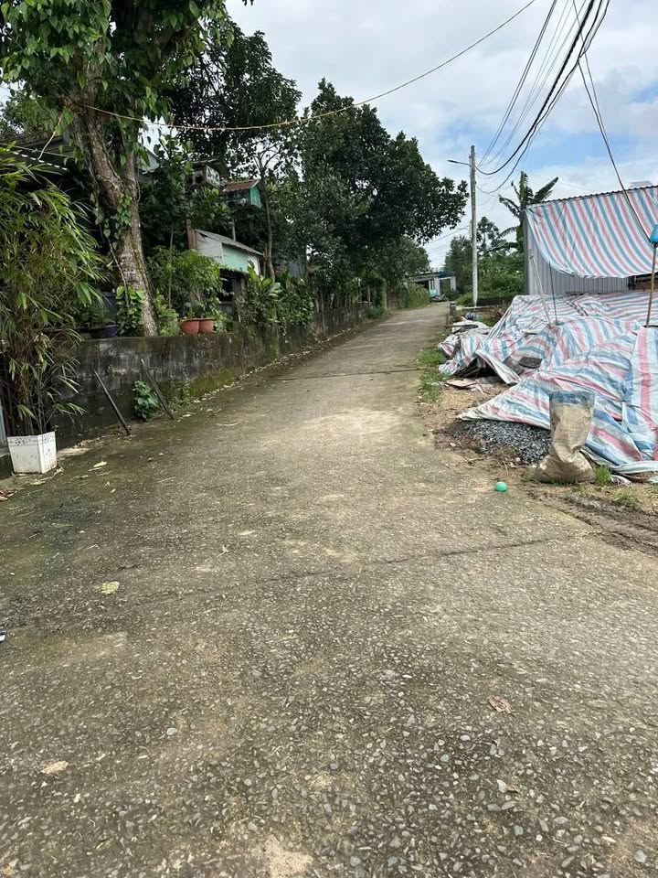 Đất nền đô thị Tổ Dân Phố Xuân Phú, Phường Hòa Khánh 100m² giá 1.4 tỷ - Đầu tư sinh lời ngay!