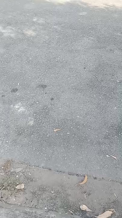 Đất xây biệt thự Linh Xuân Thủ Đức 250m² giá 20.6 tỷ - Sổ hồng chính chủ!