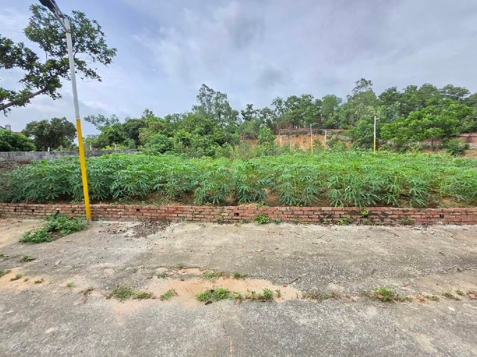 Đất đầu tư Châu Phong - Quế Võ 83m² giá 1.1 tỷ - Tiềm năng sinh lời cao!