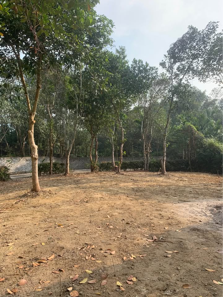 Đất nền lô góc Tân Vinh, Lương Sơn 628m² - Tiềm năng tăng giá cao!