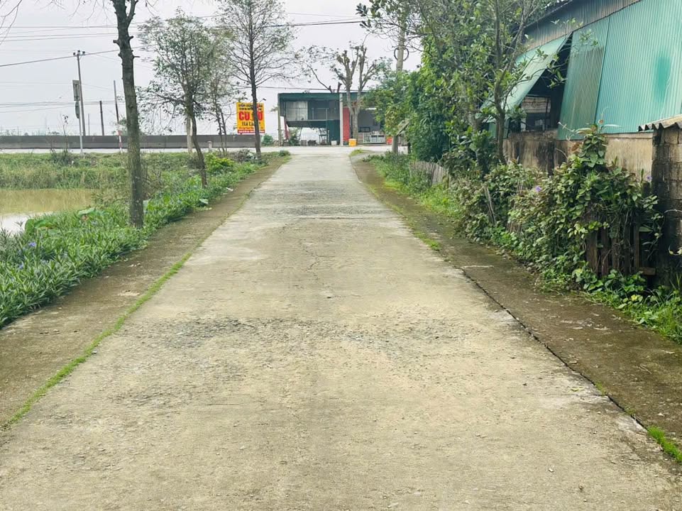 Đất 2 mặt tiền Tân An, Cẩm Bình 160m² giá 2.2 tỷ - Tiềm năng đầu tư cao!