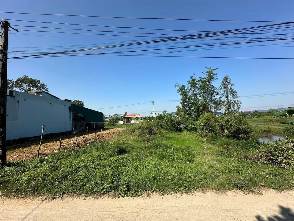 Đất chính chủ bán gấp tại Tuy Lộc, Hậu Lộc, 196m² - Pháp lý rõ ràng, giá thỏa thuận!