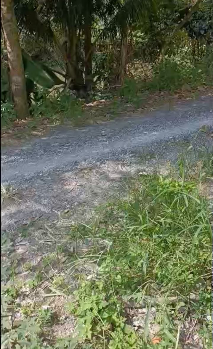 Đất Farm cho thuê tại xã Thanh Mỹ, Đồng Tháp - Diện tích 30 công, giá chỉ 5.2 triệu/năm!