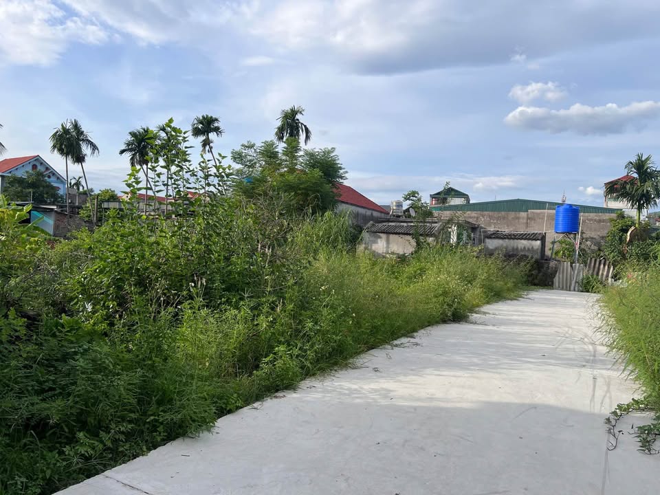 Đất nền Mạo Khê 205,7m² giá 1,8 tỷ - Vị trí trung tâm tiện ích đầy đủ!