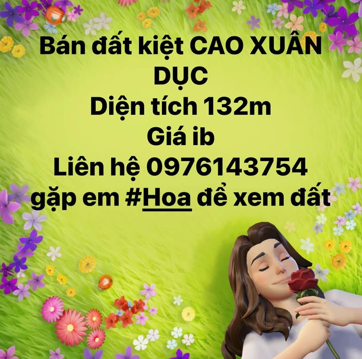Đất nền khu vực Cao Xuân Dục, 132m² - Cơ hội đầu tư tuyệt vời!