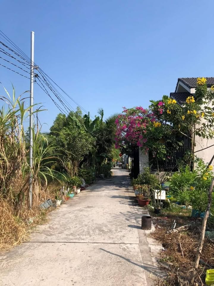 Đất nền hẻm nhà trọ Bibo Cái Răng 80m² giá 1,25 tỷ - Cơ hội đầu tư tuyệt vời!