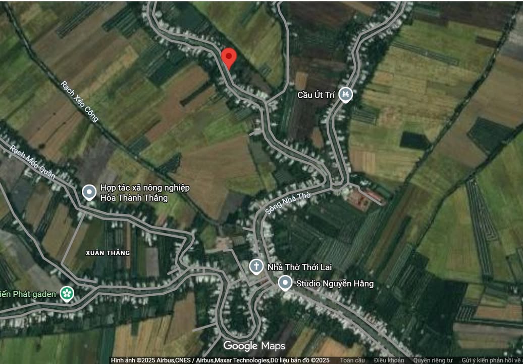 Đất thổ cư 1245m² xã Đông Hiệp giá chỉ 980 triệu - Đầu tư ngay hôm nay!